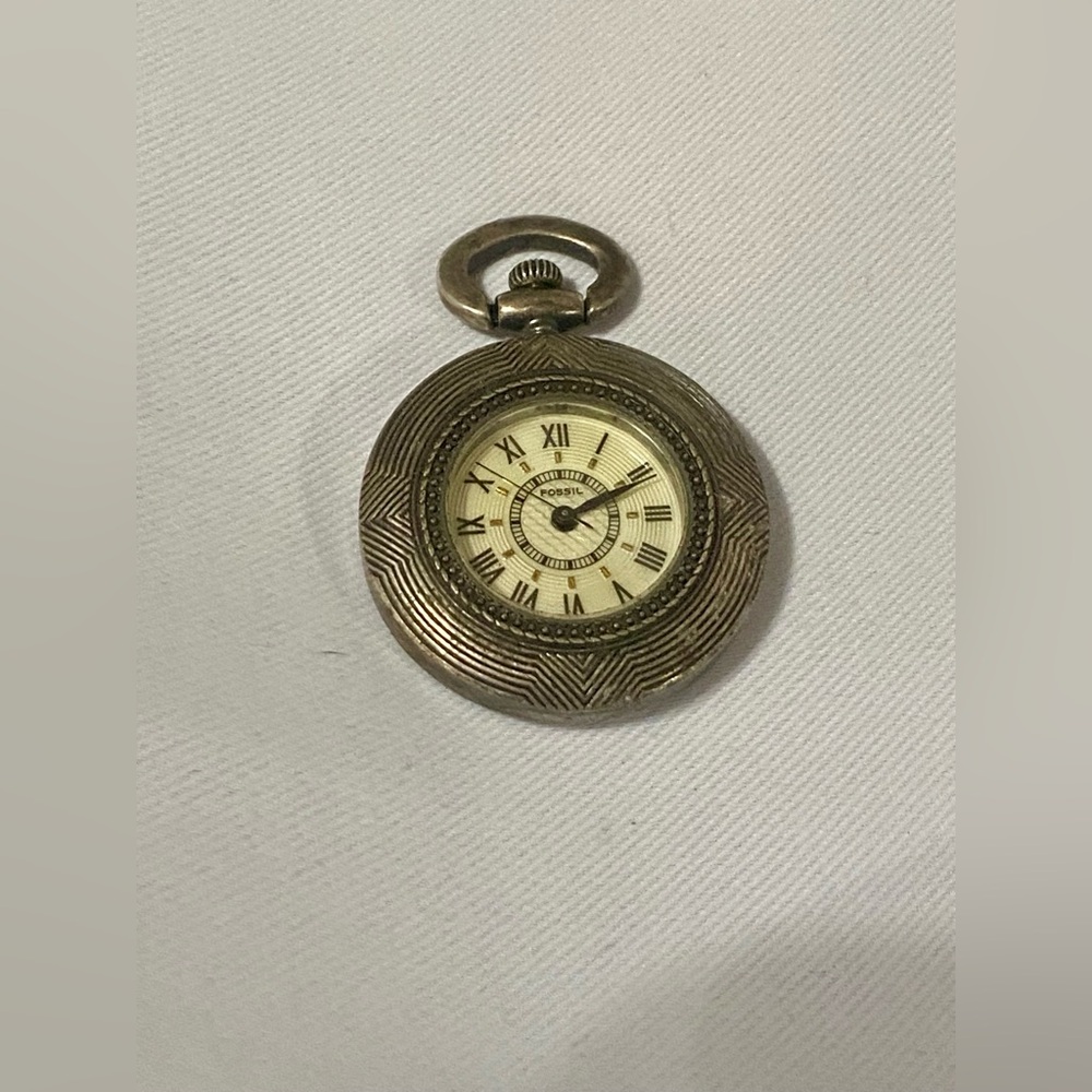 Vintage Fossil